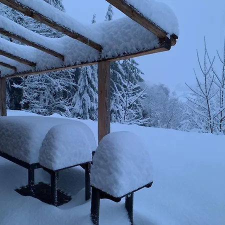 Ferienhaus Petit En Montagne Grandrif
